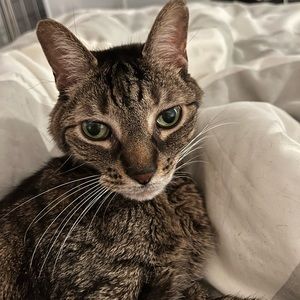 Meet your Posher, Margaret